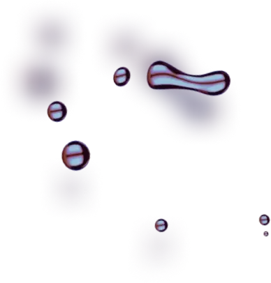 Smart Bit Boost - O naszym zespole